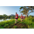 Team 315 / Raid Amazones Sri Lanka 2022 - J6 Trail