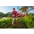 Raid Amazones Sri Lanka 2022 - J6 Trail
