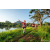 Team 326 / Raid Amazones Sri Lanka 2022 - J6 Trail