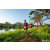Team 316 / Raid Amazones Sri Lanka 2022 - J6 Trail