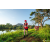 Team 309 / Raid Amazones Sri Lanka 2022 - J6 Trail