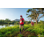 Team 312 / Raid Amazones Sri Lanka 2022 - J6 Trail