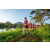 Team 312 / Raid Amazones Sri Lanka 2022 - J6 Trail