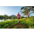 Team 65 / Raid Amazones Sri Lanka 2022 - J6 Trail