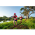 Team 32 / Raid Amazones Sri Lanka 2022 - J6 Trail