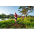 Team 321 / Raid Amazones Sri Lanka 2022 - J6 Trail