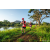 Team 321 / Raid Amazones Sri Lanka 2022 - J6 Trail