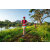 Team 71 / Raid Amazones Sri Lanka 2022 - J6 Trail