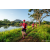 Team 302 / Raid Amazones Sri Lanka 2022 - J6 Trail