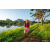 Team 302 / Raid Amazones Sri Lanka 2022 - J6 Trail