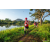 Team 77 / Raid Amazones Sri Lanka 2022 - J6 Trail