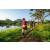 Team 77 / Raid Amazones Sri Lanka 2022 - J6 Trail