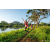 Team 37 / Raid Amazones Sri Lanka 2022 - J6 Trail