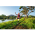 Team 37 / Raid Amazones Sri Lanka 2022 - J6 Trail