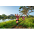 Team 305 / Raid Amazones Sri Lanka 2022 - J6 Trail