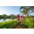 Team 305 / Raid Amazones Sri Lanka 2022 - J6 Trail