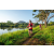Team 56 / Raid Amazones Sri Lanka 2022 - J6 Trail