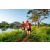 Team 76 / Raid Amazones Sri Lanka 2022 - J6 Trail