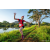 Raid Amazones Sri Lanka 2022 - J6 Trail