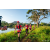 Team 313 / Raid Amazones Sri Lanka 2022 - J6 Trail