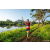 Team 07 / Raid Amazones Sri Lanka 2022 - J6 Trail
