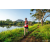 Team 07 / Raid Amazones Sri Lanka 2022 - J6 Trail