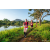 Team 55 / Raid Amazones Sri Lanka 2022 - J6 Trail