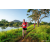Team 13 / Raid Amazones Sri Lanka 2022 - J6 Trail