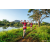 Team 49 / Raid Amazones Sri Lanka 2022 - J6 Trail