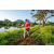 Team 15 / Raid Amazones Sri Lanka 2022 - J6 Trail