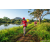 Team 15 / Raid Amazones Sri Lanka 2022 - J6 Trail