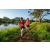 Team 31 / Raid Amazones Sri Lanka 2022 - J6 Trail