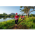 Team 40 / Raid Amazones Sri Lanka 2022 - J6 Trail