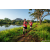 Team 323 / Raid Amazones Sri Lanka 2022 - J6 Trail
