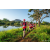 Team 28 / Raid Amazones Sri Lanka 2022 - J6 Trail