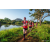 Team 328 / Raid Amazones Sri Lanka 2022 - J6 Trail