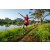 Team 328 / Raid Amazones Sri Lanka 2022 - J6 Trail