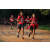 Team 333 / Raid Amazones Sri Lanka 2022 - J6 Trail