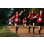 Team 08 / Raid Amazones Sri Lanka 2022 - J6 Trail