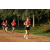 Team 46 / Raid Amazones Sri Lanka 2022 - J6 Trail