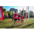 Team 306 / Raid Amazones Sri Lanka 2022 - J6 Trail