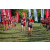 Team 31 / Raid Amazones Sri Lanka 2022 - J6 Trail