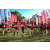 Team 313 / Raid Amazones Sri Lanka 2022 - J6 Trail