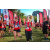 Team 50 / Raid Amazones Sri Lanka 2022 - J6 Trail