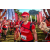 Team 40 / Raid Amazones Sri Lanka 2022 - J6 Trail
