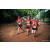 Team 304 / Raid Amazones Sri Lanka 2022 - J6 Trail