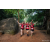 Team 315 / Raid Amazones Sri Lanka 2022 - J6 Trail
