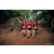 Team 315 / Raid Amazones Sri Lanka 2022 - J6 Trail