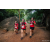 Team 306 / Raid Amazones Sri Lanka 2022 - J6 Trail