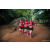 Team 303 / Raid Amazones Sri Lanka 2022 - J6 Trail